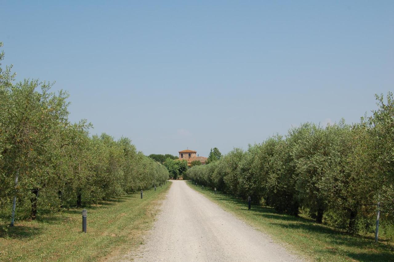 Agriturismo Il Selvino Terricciola Екстер'єр фото