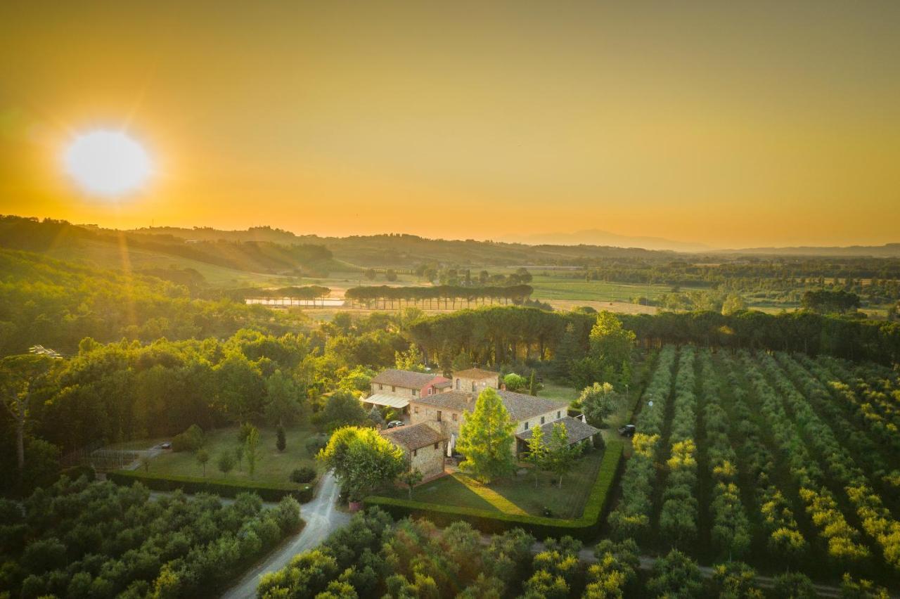 Agriturismo Il Selvino Terricciola Екстер'єр фото