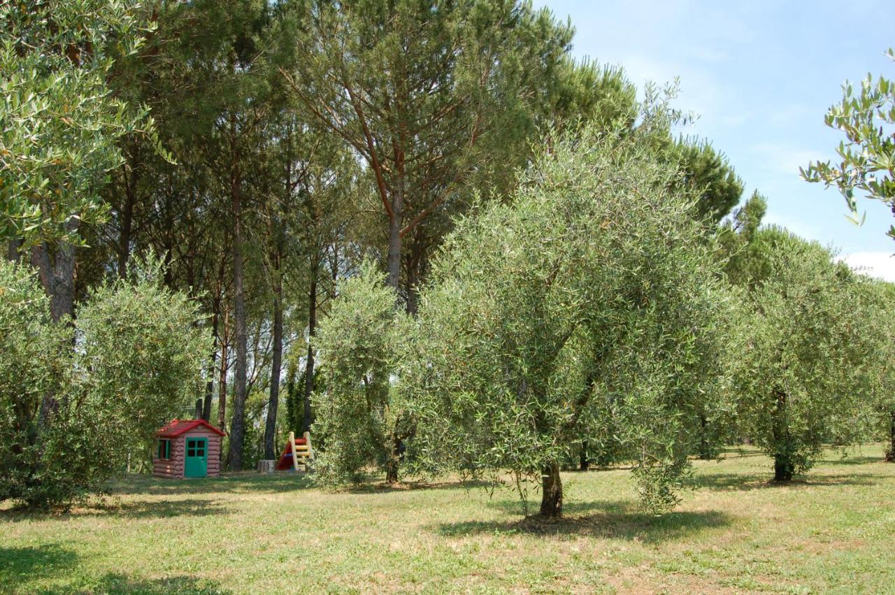 Agriturismo Il Selvino Terricciola Екстер'єр фото