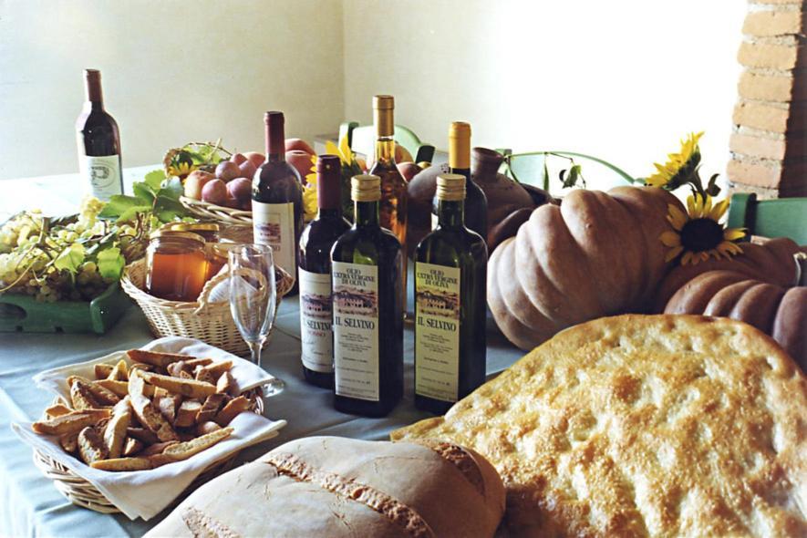 Agriturismo Il Selvino Terricciola Екстер'єр фото