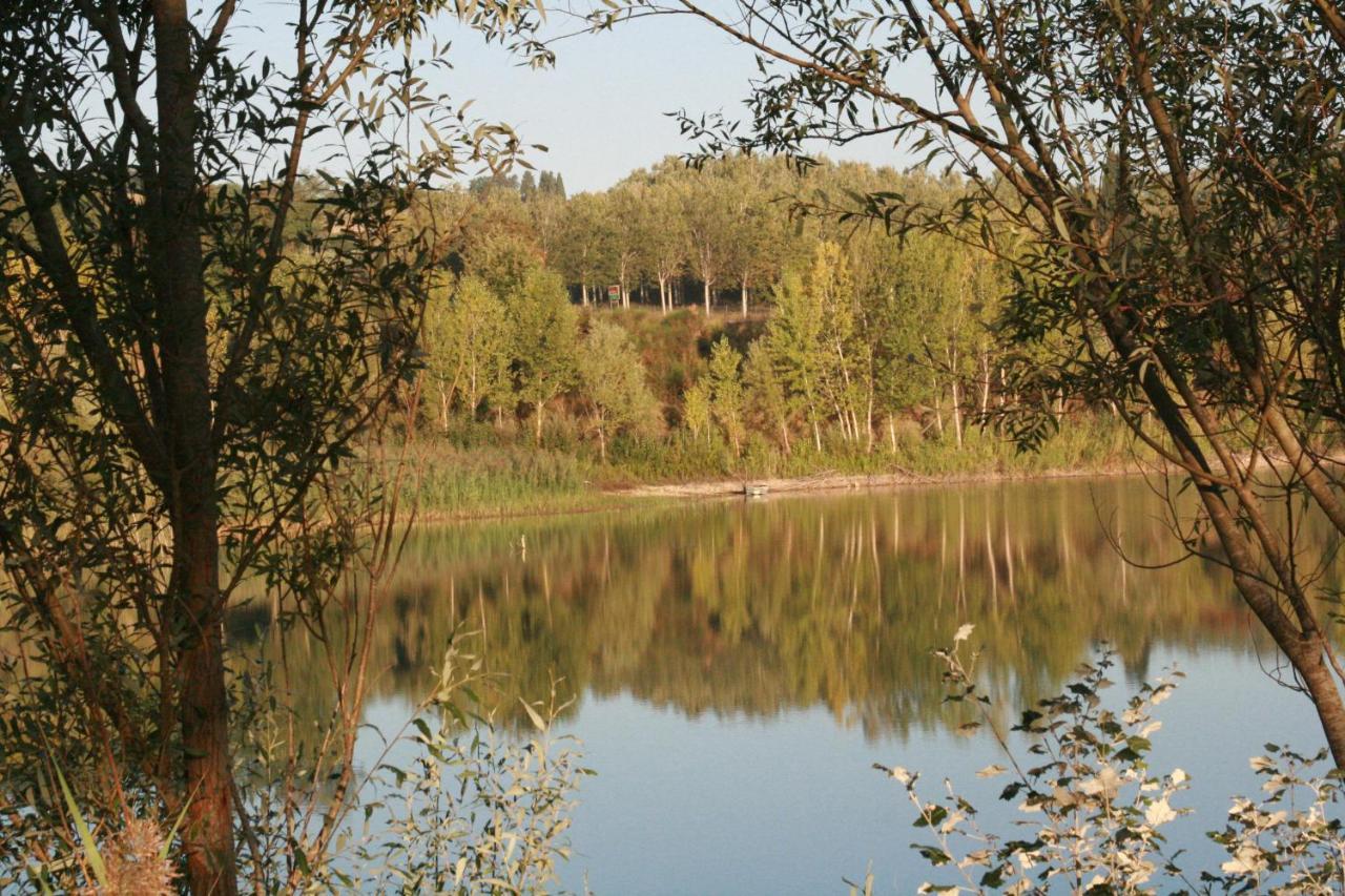 Agriturismo Il Selvino Terricciola Екстер'єр фото