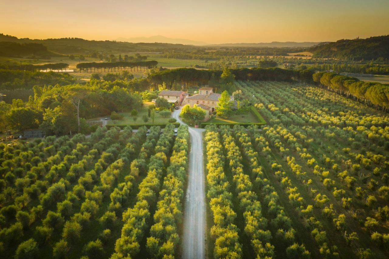 Agriturismo Il Selvino Terricciola Екстер'єр фото